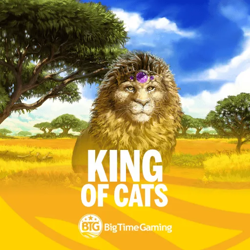 King of Cats
