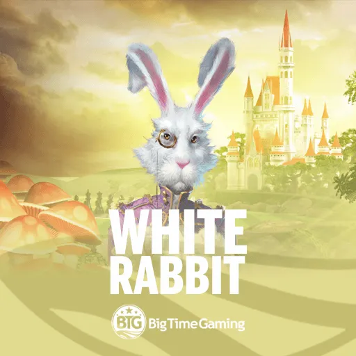 White Rabbit
